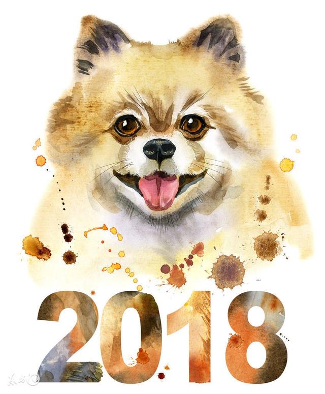2018年是十二生肖狗年，不得不知的狗宝宝取名注意事项