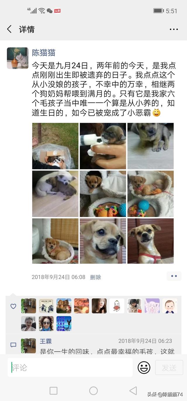 大家的宠物都叫什么？名字的背后有没有特殊的含义或经历？