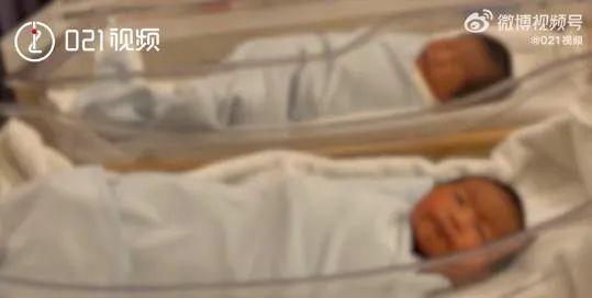 上海这对双胞胎火上热搜，全家人的名字绝了