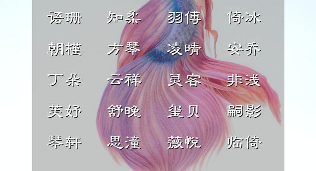 悦人眼目的女孩名字，静女其姝，婉风流转