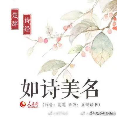 有哪些出自《诗经》且有寓意的名字？