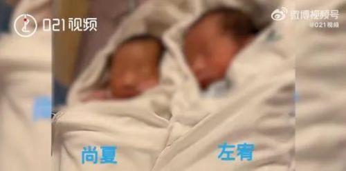 上海一对双胞胎宝宝取名谐音上下左右，爸妈的名字更牛