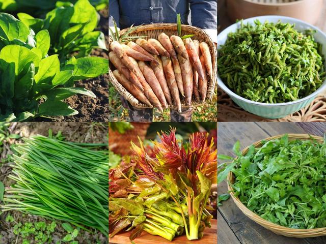 春分前后，6种“千金菜”记得吃，鲜嫩营养，应季而食早吃早受益
