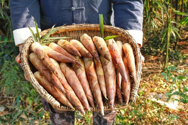 春分前后，6种“千金菜”记得吃，鲜嫩营养，应季而食早吃早受益