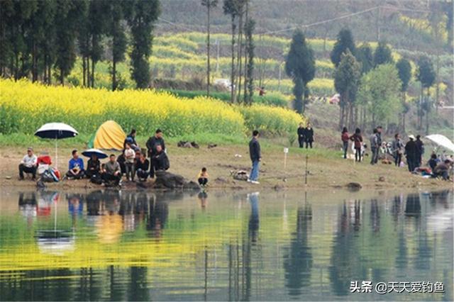 盘一盘钓鱼人的这些“有趣”网名，一看就知道你是个喜欢钓鱼的