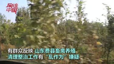 山东费县村民反映畜禽养殖棚被“强拆”