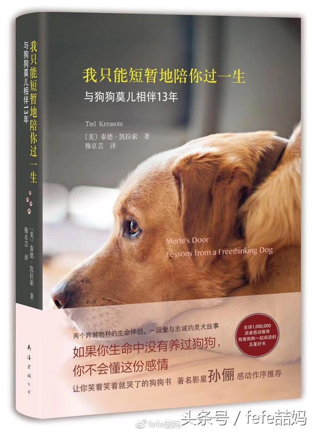 寒假亲子阅读：年和狗狗的故事