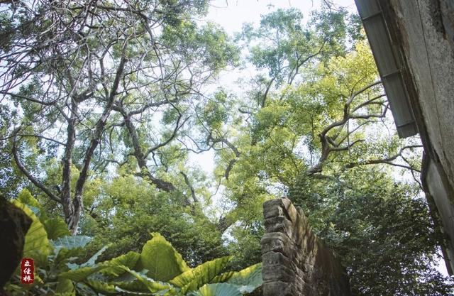 乡村印象：古村落，古板头