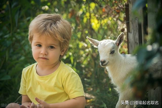 带“一”字的宝宝名，有着一生平安幸福的美好祝福