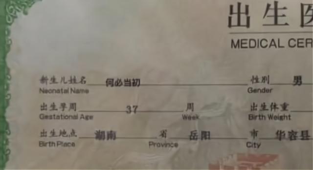 扎堆叫“梓涵”的热度刚下，新的“爆款”名字又扎堆，老师：心累