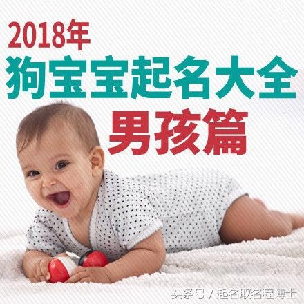 2018年狗宝宝起名大全：男宝宝篇