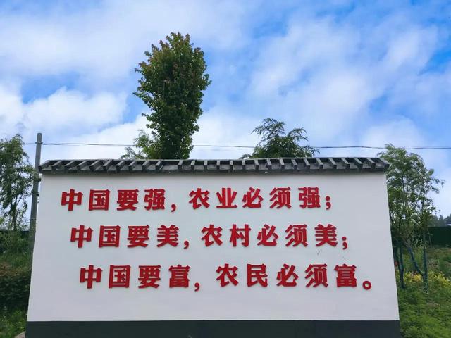 山东曹县魏湾镇地名志（由来）