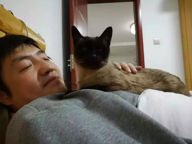 给猫猫起名叫狗，它会生气吗？