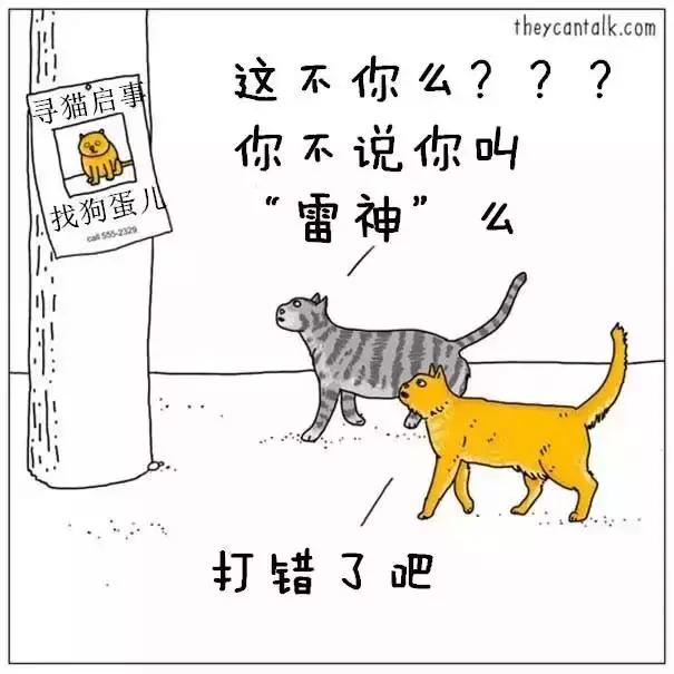 给猫猫起名叫狗，它会生气吗？