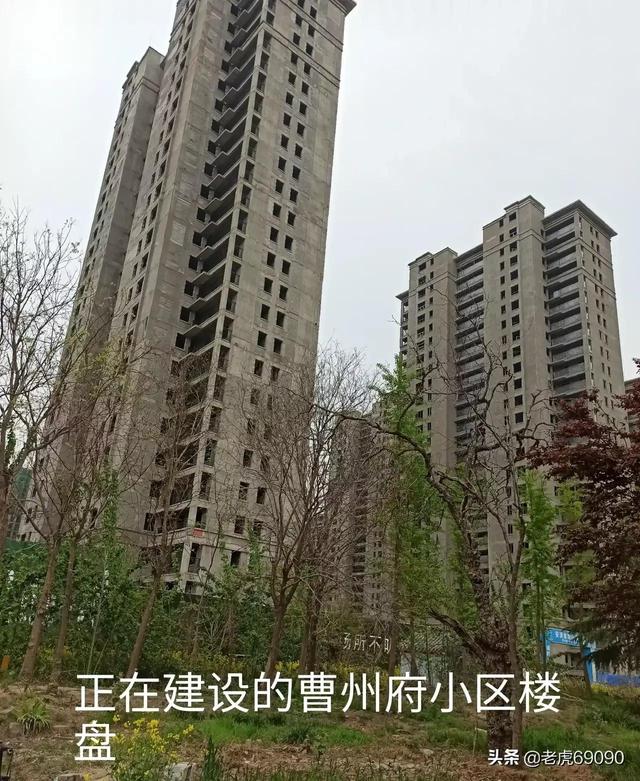 曹县青菏街道村名志