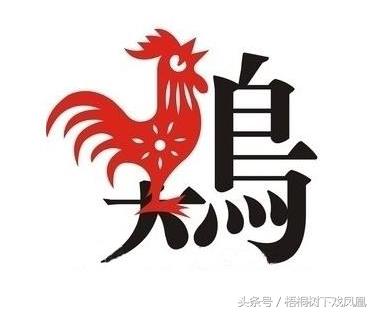 什么情况下，“鸡年生的孩子属狗”？并非脑筋急转弯