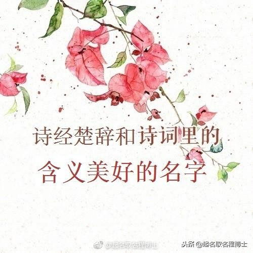 宝宝取名系列：诗经楚辞和诗词里的含义美好的名字