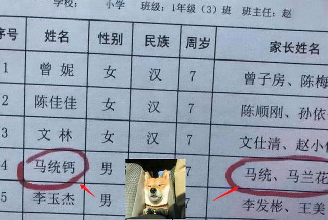 连姓带名共2笔，小学女生因姓名“极简”火了：答卷子赢在起跑线