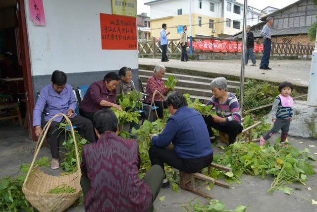 沙县十大姓氏最新出炉，你家排第几