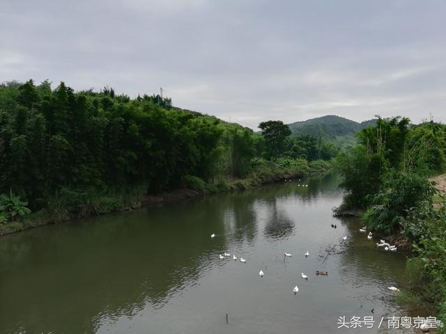 广州北，有个让你暂离城市繁忙浮躁，回归自然休闲的地方—红梨村