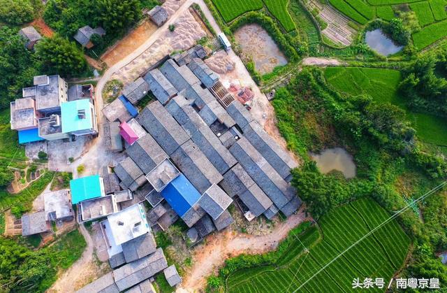 广州北，有个让你暂离城市繁忙浮躁，回归自然休闲的地方—红梨村