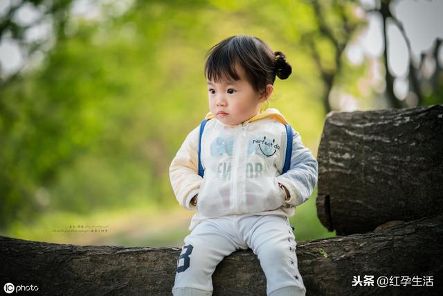 猪年男宝宝取名，鼠年女宝宝取名，2019年鼠宝宝这样取名一生幸福