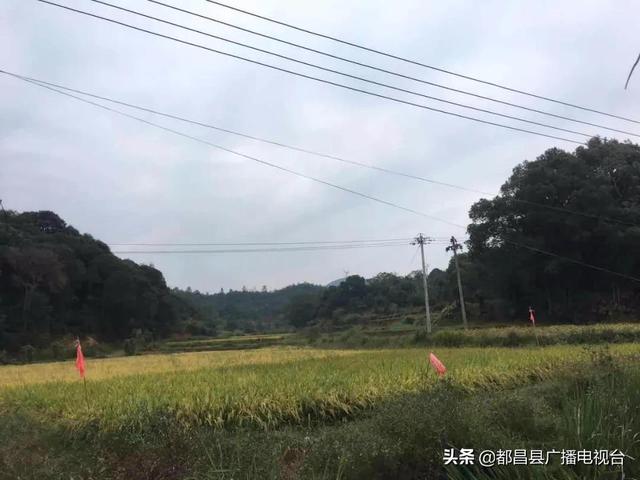 传家训扬新风之187丨鸣山乡九山杨姓：知根源余里（下）