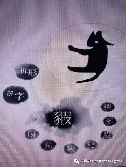 与猪有关的字