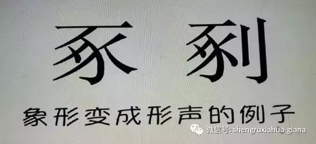 与猪有关的字