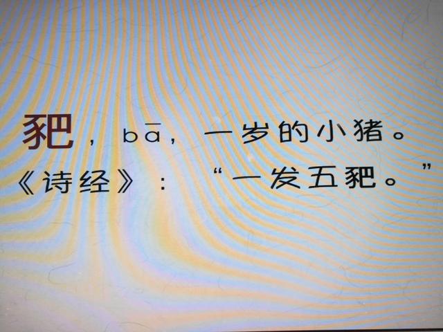 与猪有关的字