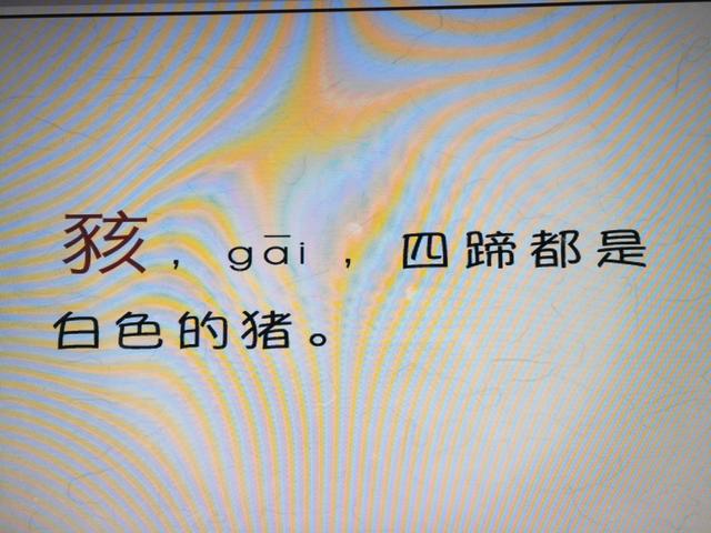 与猪有关的字