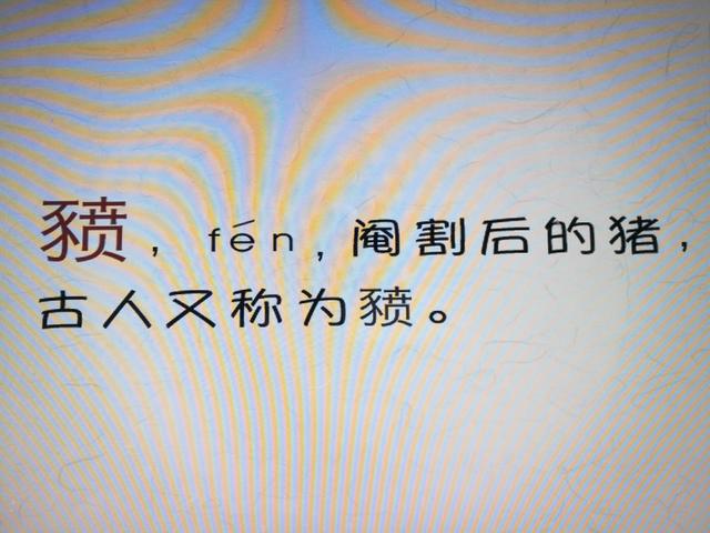 与猪有关的字