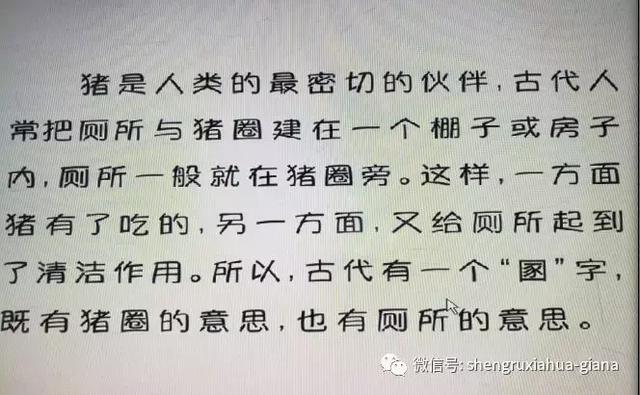 与猪有关的字