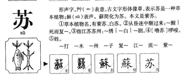 10个带苏字清艳脱俗的女宝名字，好听又独特