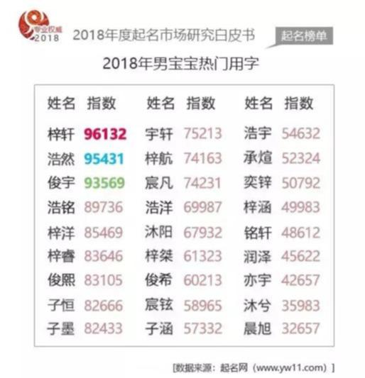 2018年度国内起名市场数据白皮书-起名网