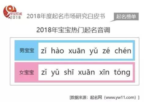 2018年度国内起名市场数据白皮书-起名网