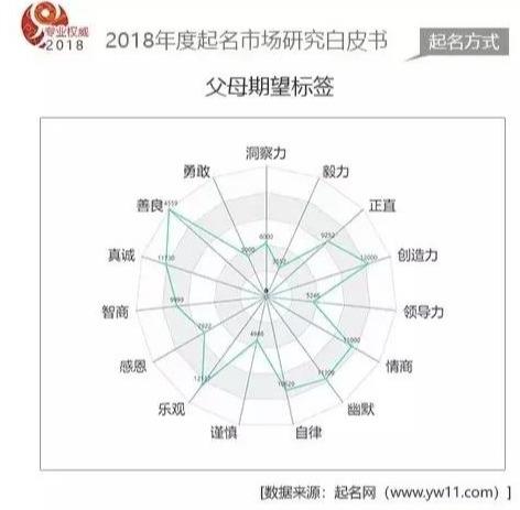 2018年度国内起名市场数据白皮书-起名网