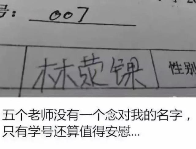 上海这对双胞胎因“名字”走红，看到父母真实姓名，网友：怪不得