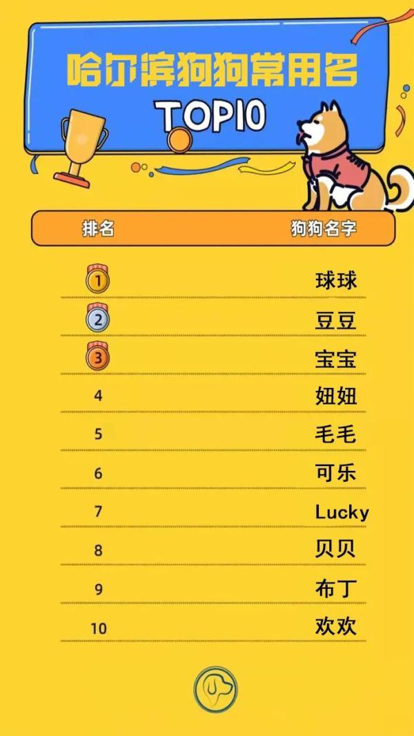 哈尔滨狗狗常用名Top10！你家狗狗叫啥名？