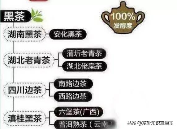 六大茶类各种茶叶的美你知道吗，传统文化不妨看一看