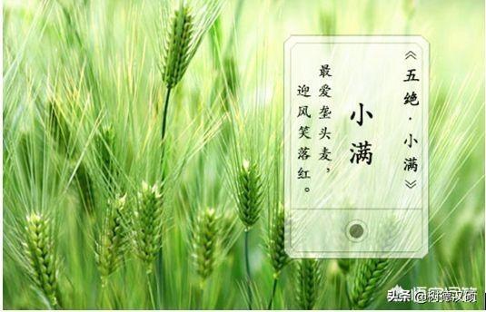 为何立夏后的节气，称小满？