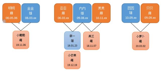 世界黑猩猩日，请您来取名——可爱、好听、好记，还要有美好寓意!