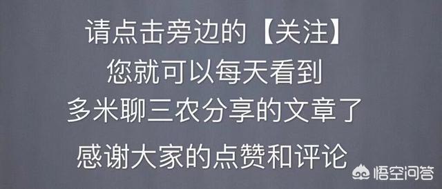 为什么如今有些农村人取名字不再按辈分了？