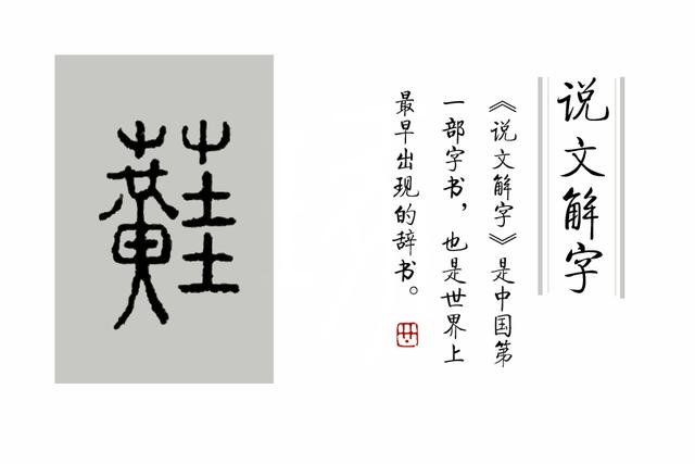 《说文解字》第81课：那么多人名字里用“英”字，为什么？