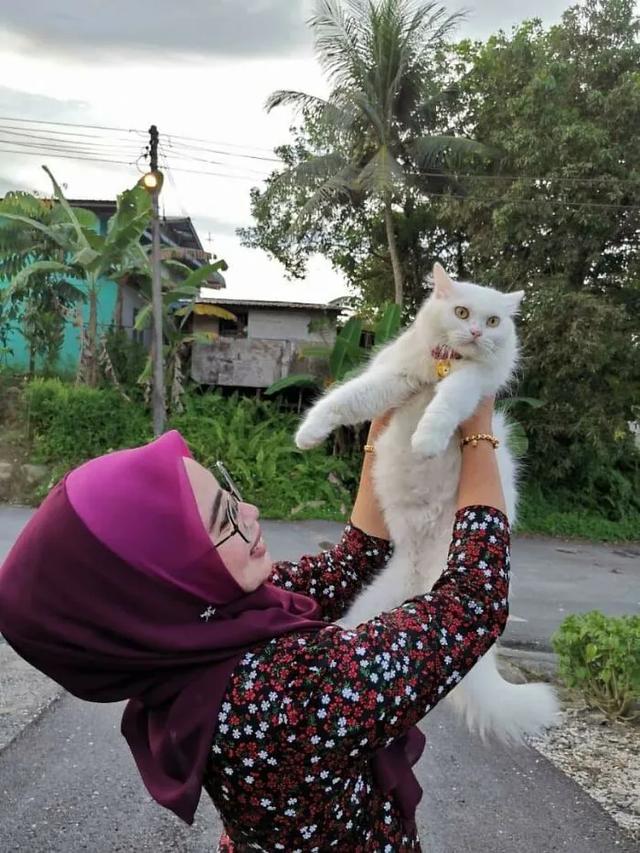 流浪猫又脏又臭来院子里求助，5个月后蜕变成一只仙女猫