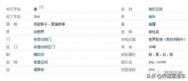 「科普」有图有真相！国内17个生猪品种，听说99%的人都不认识