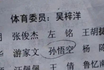 小夫妻结婚证火了，名字堪称绝配，不结婚都没天理