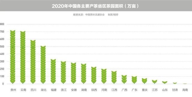 谁炮制了几十万元1斤的天价茶？