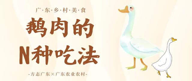 乡村美食月 | 一只鹅，在广东人手里有无数种可能！