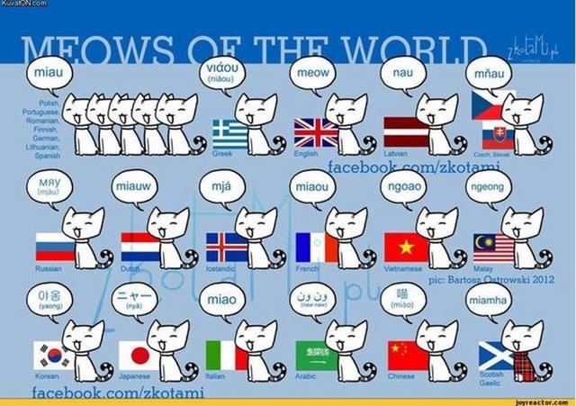 中国猫呼噜噜，英国猫pur pur：拟声词还带口音的？